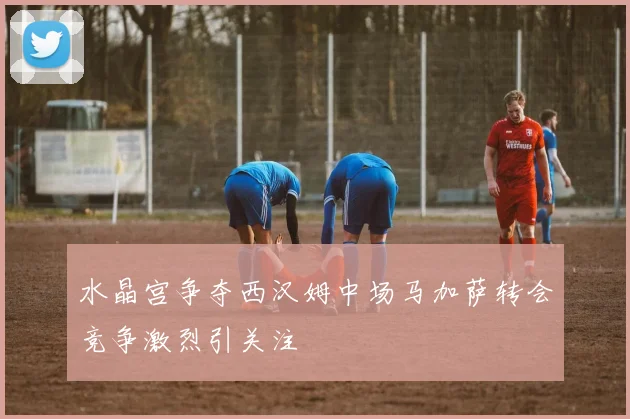 水晶宫争夺西汉姆中场马加萨转会竞争激烈引关注